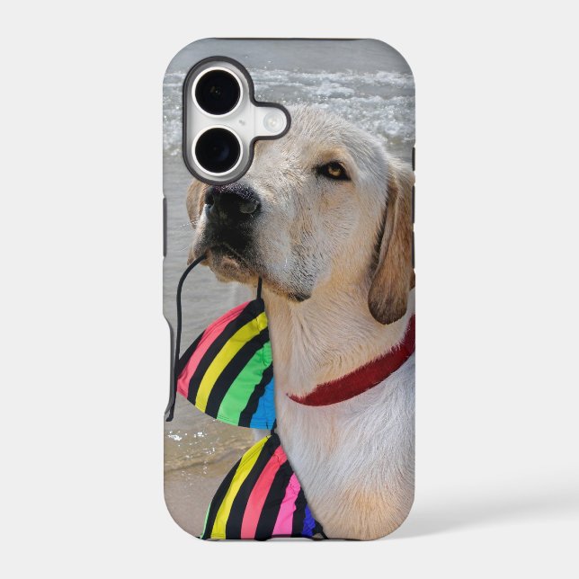 Retriever (Back)