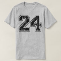 Retro 24