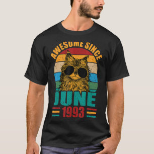 Retro Awesome Since June 1993 29th Birthday 29 Yea T-Shirt