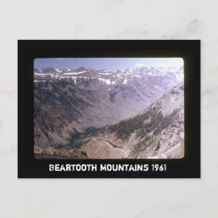 Retro Beartooth Mountains Scenic Highway Landscape Postcard