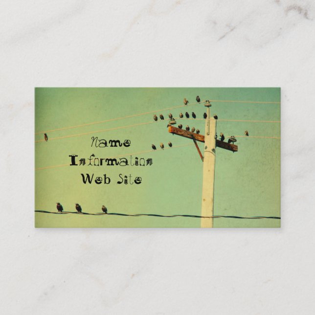 Retro Birds Business Card (Front)