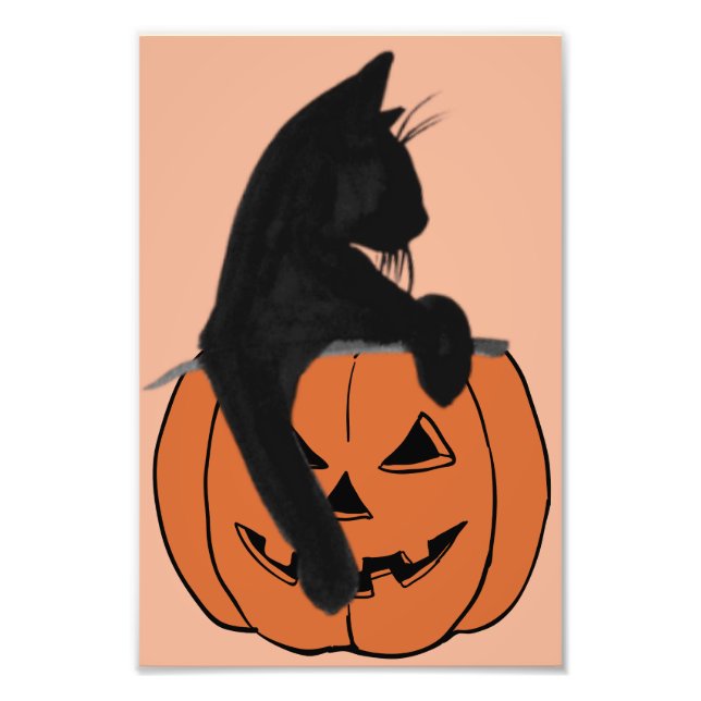 Retro Black cat in pumpkin Photo Print (Front)
