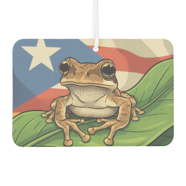Retro Boricua Pride Poster Car Air Freshener (Front)