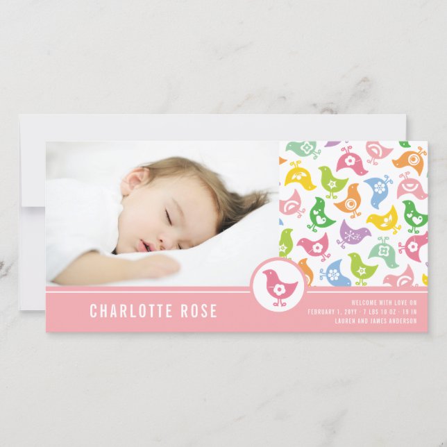 Retro Chicks Girl Birth Announcement Photo Card (Front)