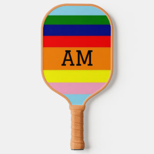 Retro Colour Horizontal Striped Pickleball Paddle