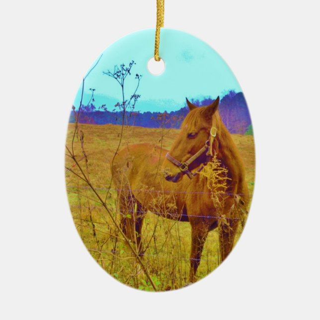 Retro Coloured Horse Ceramic Tree Decoration (Front)
