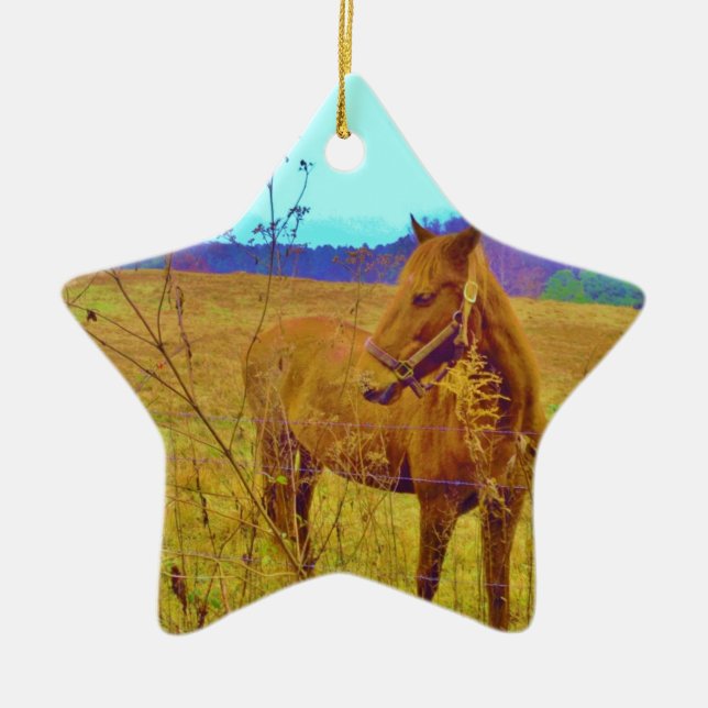 Retro Coloured Horse Ceramic Tree Decoration (Front)