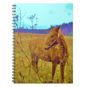 Retro Coloured Horse Spiral Notebook