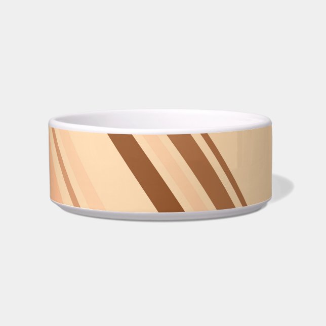 Retro Colourful Diagonal Stripes Pet Bowl (Front)