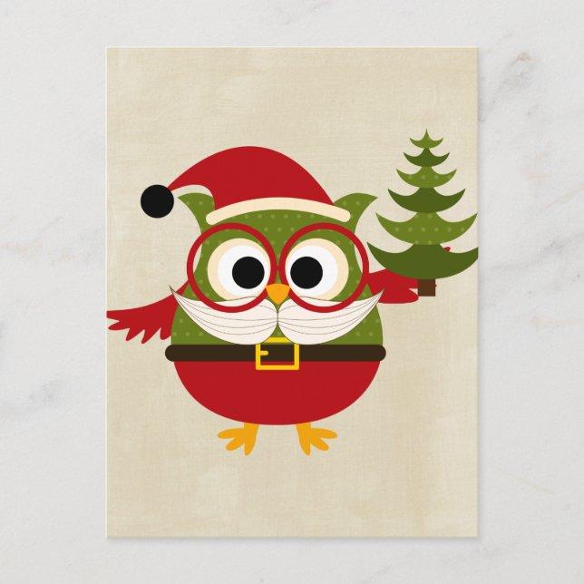 Retro Cute Christmas Owl Holiday Postcard (Front)