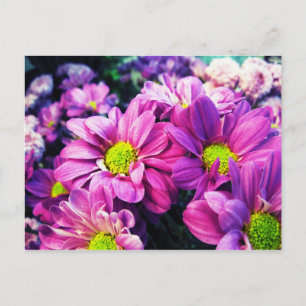 Retro Daisies I Postcard
