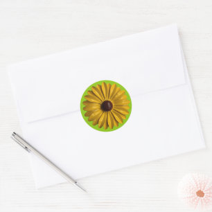 Retro Daisy Flower Spring Summer Garden Wedding Classic Round Sticker
