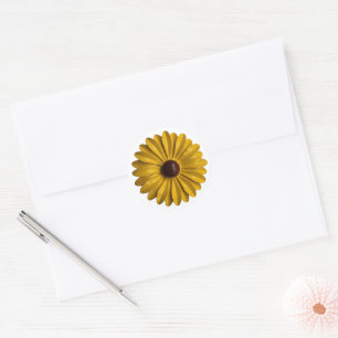 Retro Daisy Flower Spring Summer Garden Wedding Classic Round Sticker