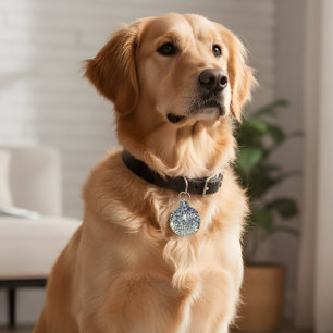 Retro Disco Ball Pet ID Tag – Groovy & Safe!