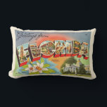 Retro Florida Postcard Greeting Throw Pillow<br><div class="desc">What a terrific 1940's retro Florida postcard pillow! This colourful vintage illustration for the State of Florida adds so much to a tropical decor. You can purchase the pillow as is or change the back by removing the image and adding a personal message. Choose the material and whether you want...</div>