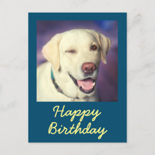 Retro Funny Dog and Happy Birthday Postcard