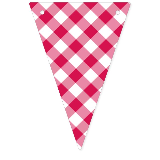 Retro Gingham Raspberry  Bunting (First Flag)