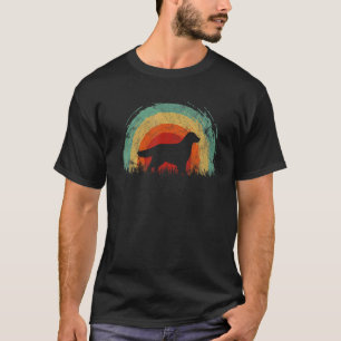 Retro Golden Retriever Corgi Vintage Rainbow Dog M T-Shirt