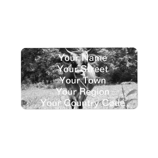 Retro Grey Bull Photo Label (Front)