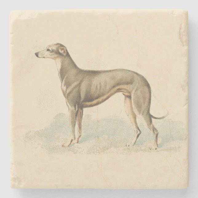 Retro Greyhound Whippet Print  Stone Coaster (Front)