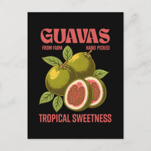 Retro Guavas Fruit Commercial Graphic Art Style Holiday Postcard