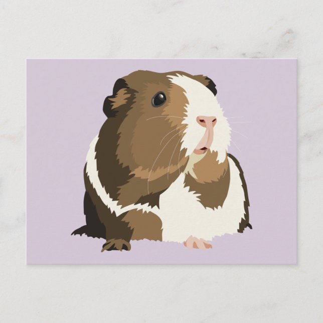Retro Guinea Pig 'Betty' Postcard (Front)