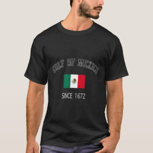 Retro Gulf Of Mexico Since 1672 Mexican Flag Gulf T-Shirt