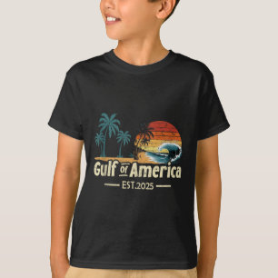 Retro Gulf Of Us America 2025 American Flag Gulf M T-Shirt