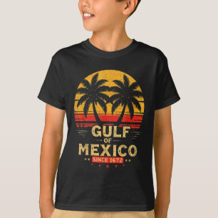 Retro Gulf Of Usa America Est 2025 American Flag G T-Shirt