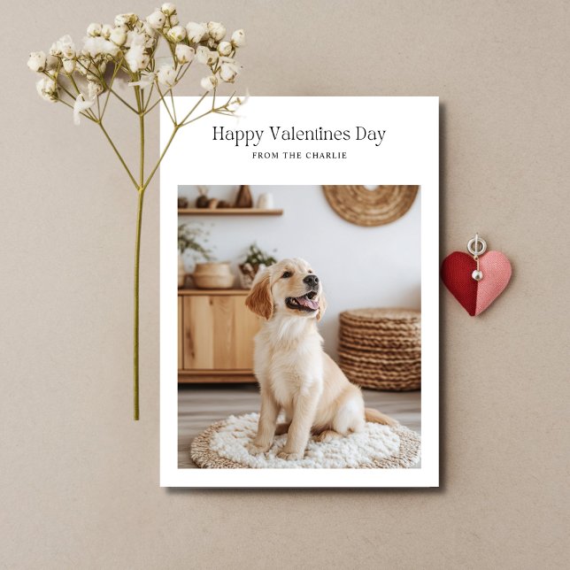 Retro Happy Valentines Day Dog Pet Funny Cards (Creator Uploaded)
