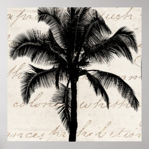 Retro Hawaiian Tropical Palm Tree Silhouette Black Poster