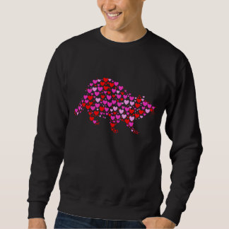 Retro Hearts Racoon Animals Birthday Christmas Va Sweatshirt