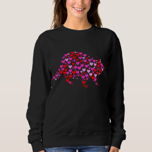 Retro Hearts Racoon Animals Birthday Christmas Va Sweatshirt