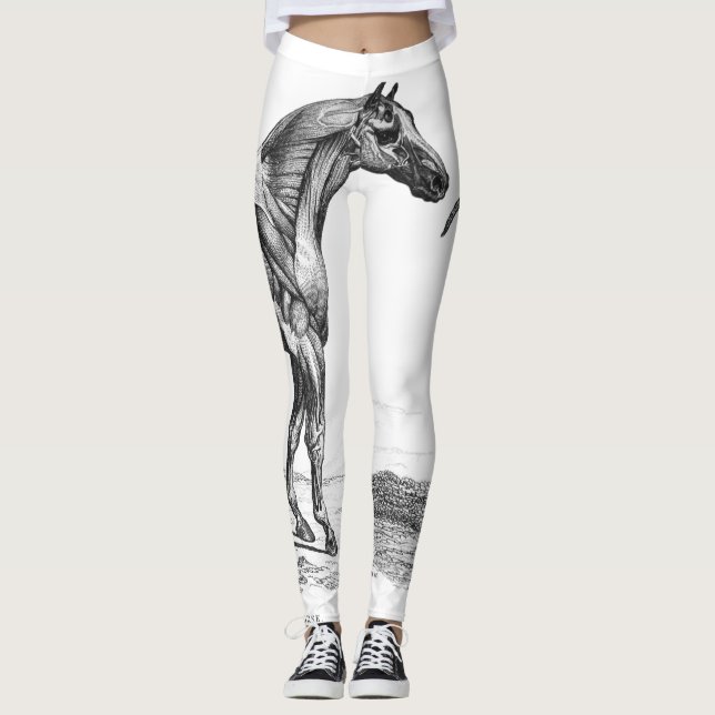 Retro horse muscle anatomy picture leggings (Front)