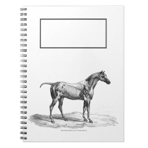 Retro horse muscle anatomy picture notebook