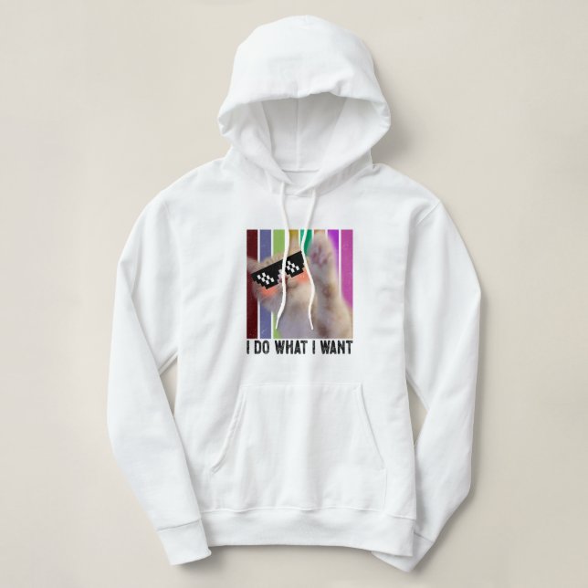 Retro I do what I want cat funny cat lover Hoodie (Design Front)
