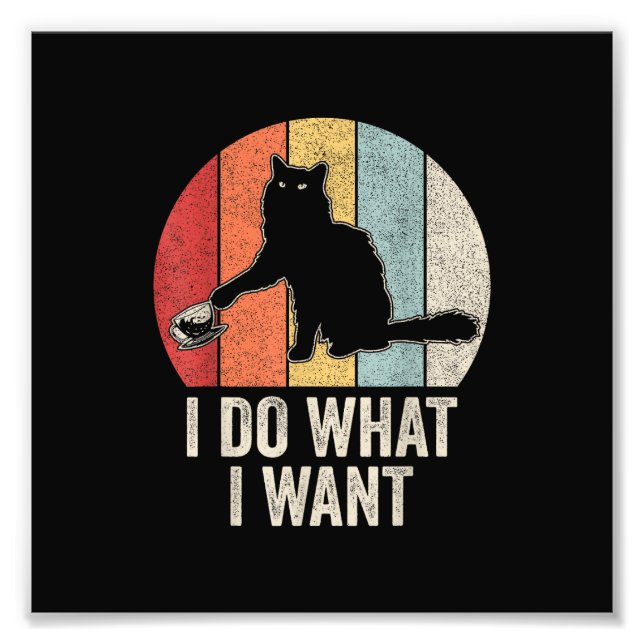Retro I Do What I Want Cat Shirt Cat Lover Owner G Photo Print (Front)