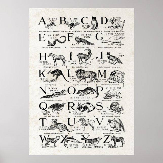 Retro Inspired Alphabet Nursery Chart Cute Animals (Front)
