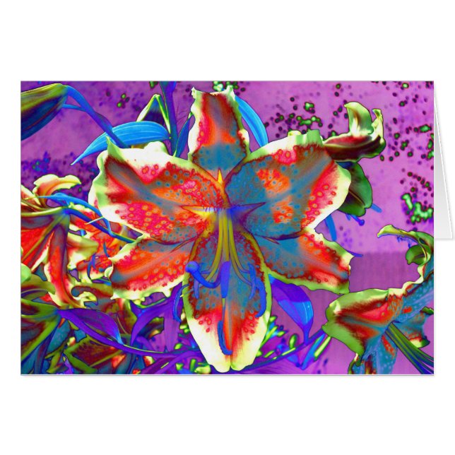 Retro Lily (Front Horizontal)