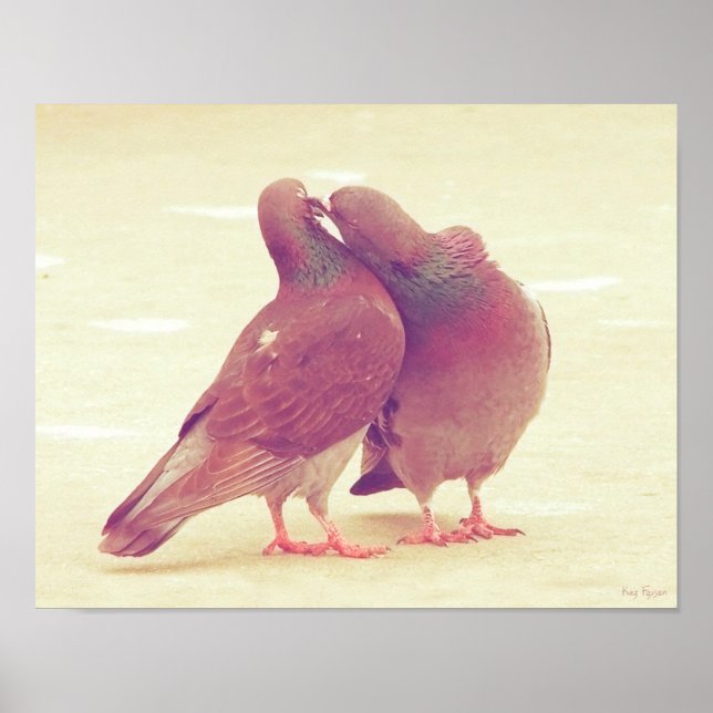 Retro Love Birds Kissing Pigeon Poster (Front)