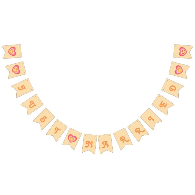 Retro Minimalist Just Married Newlyweds Bunting (All)