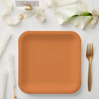 Retro Modern Orange Solid Colour Paper Plate
