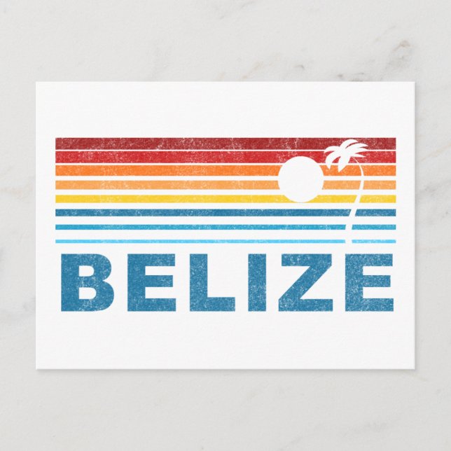 Retro Palm Tree Belise Postcard (Front)