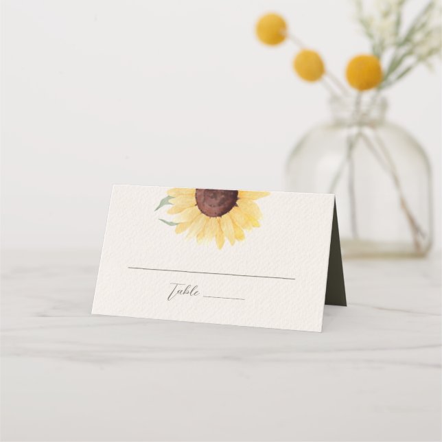 Retro Pastel Colour Daisy Wedding Place Card (Front)
