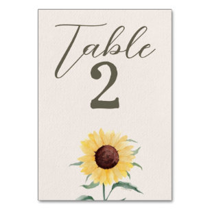 Retro Pastel Colour Daisy Wedding Table Number