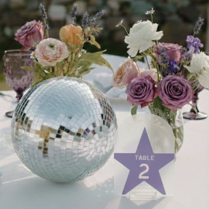 Retro Pastel Disco Wedding Table Number