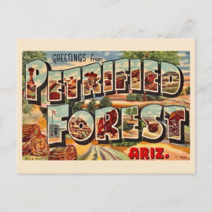 Retro Petrified Forest Arizona Postcard