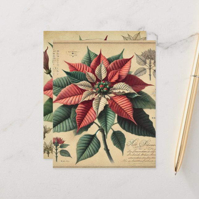 Retro Poinsettia Festive Botanical Scrapbook Paper (Front/Back In Situ)