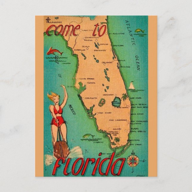 Retro Postcard of Florida  (Front)