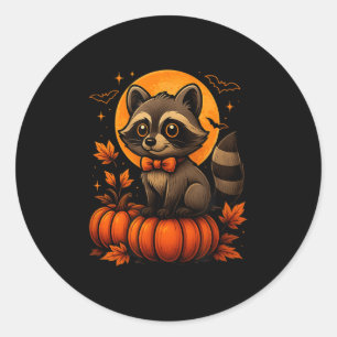 Retro Raccoon Halloween Pumpkin Costume For Women  Classic Round Sticker